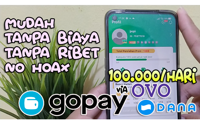 Aplikasi Penghasil UANG Dibayar MAHAL Via GOPAY/OVO/DANA ...