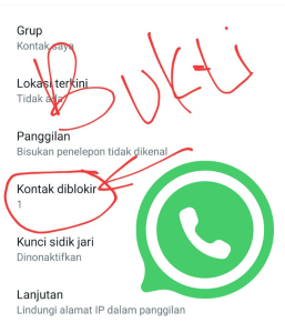 Cara Mudah Chat Orang yang Blokir Kita di Whatsapp