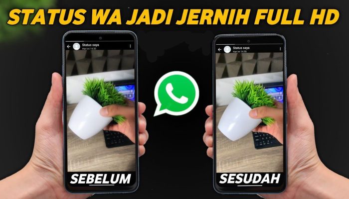 3 Cara Membuat Story WhatsApp Kamu HD dan Tidak Buram