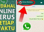 8 Cara agar WhatsApp Tidak Terlihat Online dan Mengetik
