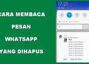 5 Cara Melihat Pesan Whatsapp yang Sudah Dihapus oleh Pengirimnya