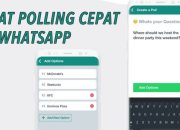 3 Cara Membuat Polling di Whatsapp Grup