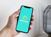 Wajib Tahu! Cara Pakai Fitur Baru WhatsApp yang Mirip Instagram