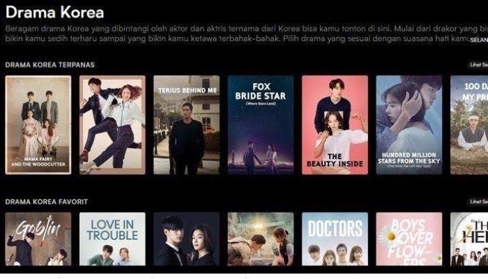 5 Rekomendasi Aplikasi Nonton Film untuk Pecinta Drama Korea
