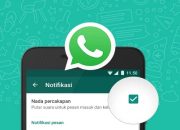 5 tips mengatasi notifikasi whatsapp yang tidak berbunyi