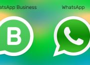 Inilah Perbedaan WhatsApp Biasa dan Whatsapp Bisnis, Nggak Sama, lho