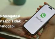 Ini Cara Menangani Whatsapp yang Tidak Menanggapi