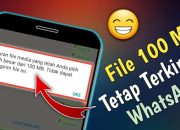 Rahasia Kirim File Besar di WhatsApp, Nggak Perlu Ribet!