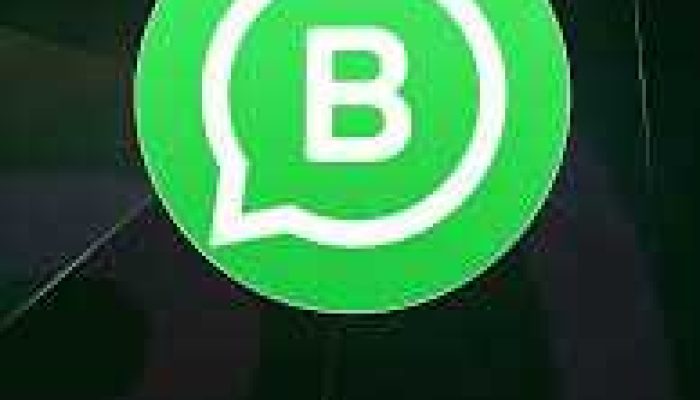 WhatsApp Business: Peluang dan Tantangan untuk Pengusaha