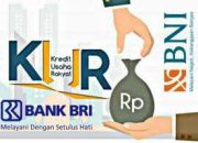 Bank BRI Vs Bank BNI: Program Kredit yang Paling Menguntungkan