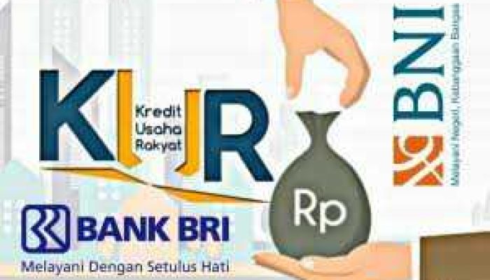 Bank BRI Vs Bank BNI: Program Kredit yang Paling Menguntungkan