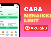 Limit Akulaku Nggak Mau Naik? Coba 5 Trik Jitu Ini!