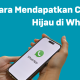 5 Jurus Jitu Gaet Centang Hijau WA, Auto Dilirik Pelanggan!