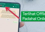 Privasi Makin Terjaga! Tips Bikin WhatsApp Keliatan Offline Walaupun Sedang Online