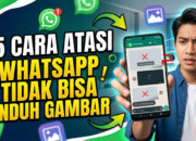 15 Cara Atasi WhatsApp Tidak Bisa Unduh Gambar