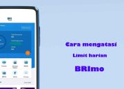 Naikkan Limit Bank BRI: Ajukan Melalui BRI Mobile Anti Ribet
