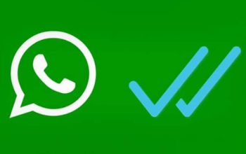 Privasi Makin Terjaga! Begini Cara Sembunyikan Last Seen, Online dan Centang Biru di WhatsApp