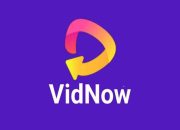 Wajib Coba! Nonton Video Dibayar di VidNow, Saldo DANA Terus Bertambah!