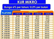 Strategi Ampuh Meningkatkan Limit Pinjaman KUR BRI yang Langsung Disetujui