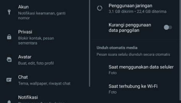 6 Tips Mudah Bersihkan Penyimpanan Aplikasi WhatsApp Tanpa APK