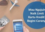 Naikkan Limit Kartu Kredit BCA Anda Sekarang Juga! 100% di Setujui