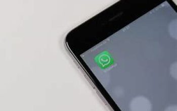 5 Cara Mematikan WhatsApp Sementara