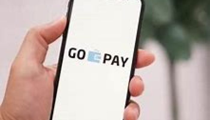 Panduan Menghindari Kesalahan saat Menggunakan GoPay PayLater