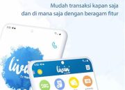 Tips Mudah Aktifkan Pay later Livin by Mandiri Anti Gagal