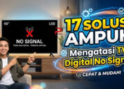 17 Solusi Ampuh Mengatasi TV Digital No Signal