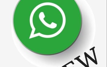 Cara Centang Satu WhatsApp Tanpa Menonaktifkan Paket Data