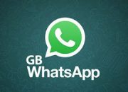 Bikin Chat Jadi Unik! Panduan Lengkap Menggunakan Tema Kustom WhatsApp