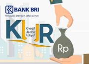 KUR BRI Belum Lunas: Begini Cara Pinjam Lagi Mudah Banget