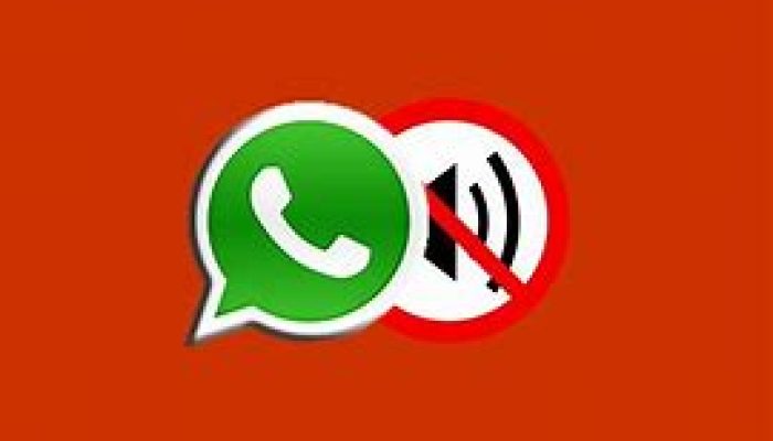 Cara Bisukan Panggilan Mencurigakan di WhatsApp