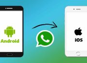 Begini Cara Mudah Transfer Data Whatsapp dari Android ke iphone