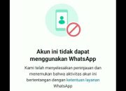 Penting Diperhatikan, Penyebab WhatsApp Diblokir Sementara