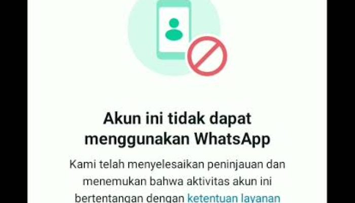 Penting Diperhatikan, Penyebab WhatsApp Diblokir Sementara