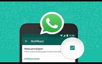 Emang Bisa Ngatur Notifikasi Khusus Di Whatsapp? Yuk Intip Caranya!