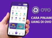 Bye-bye Bokek! OVO PayLater Tawarkan Pinjaman Nyaman Sampai Rp 10 Juta, Nggak Perlu Jaminan!