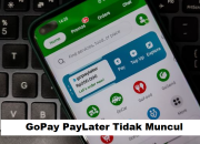 Solusinya Lengkap: Gojek Paylater Tidak Muncul atau Tidak Aktif