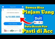 Mau Pinjaman Online Cepat Cair? Simak Cara Daftar dan Syarat PinjamDuit!