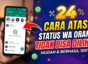 24 Cara Atasi Status WA Orang Tidak Bisa Dilihat