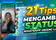 21 Tips Mengambil Status WhatsApp Orang Lain