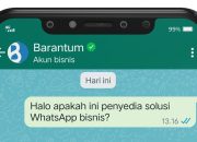 Dapatkan Centang Biru WhatsApp Cepat! Panduan 5 Langkah Mudah Verifikasi Akun
