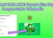 Saldo Tokopedia Bermasalah? Ini Solusi Cepat Atasinya!