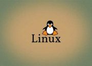 Inilah Distro Linux yang Lagi Ngehits