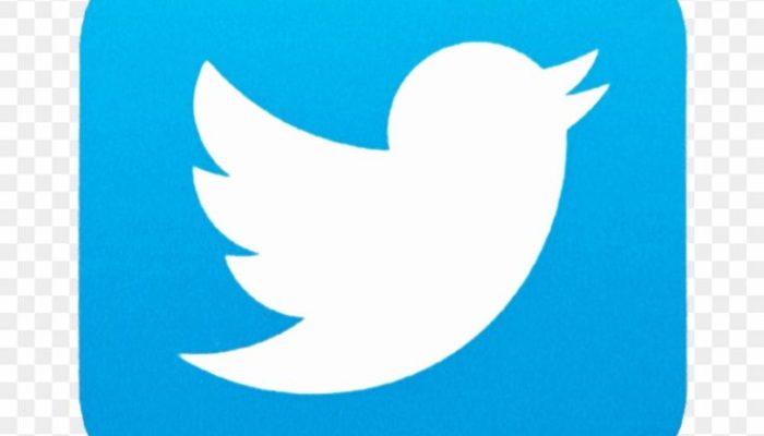 Syarat dan Cara Mendapatkan Centang Biru di Twitter Mudah Banget