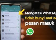 WhatsApp Gak Bunyi & Muncul Notif? Coba 5 Cara Ini Dijamin Ampuh!