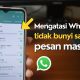 WhatsApp Gak Bunyi & Muncul Notif? Coba 5 Cara Ini Dijamin Ampuh!