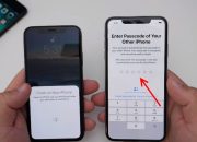 Langkah Mudah Transfer Data dari iPhone Lama ke iPhone Baru