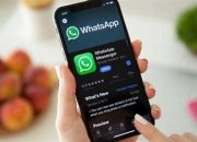 5 Fitur Terbaru Whatsapp Yang Jarang Disadari Pengguna